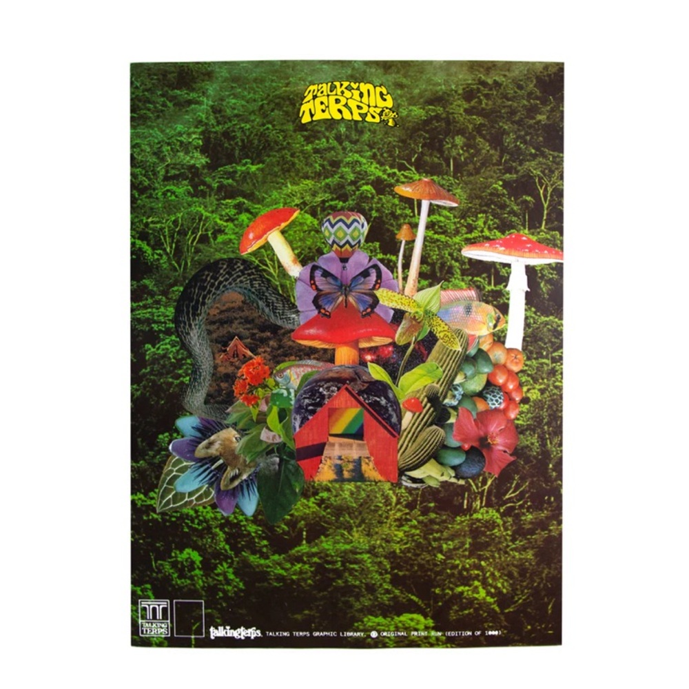 Talking Terps “Portal” Print Poster